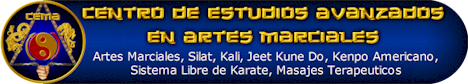 Centro de Estudios Avanzados en Artes Marciales (CEMA)