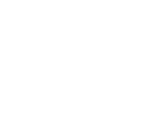 Bruce Lee